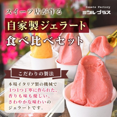 【自家製こだわり製法】自家製ジェラート(4個)