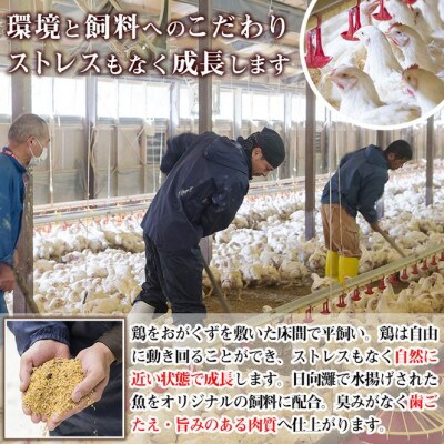 【毎月定期便】宮崎県産ブランド鶏「夢創鶏」むね切身(200g×12)全6回
