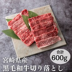宮崎県産黒毛和牛切り落とし600g　MKW-60L