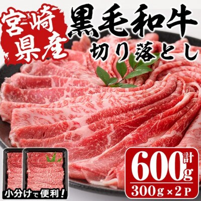 宮崎県産黒毛和牛切り落とし600g　