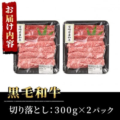 宮崎県産黒毛和牛切り落とし600g　