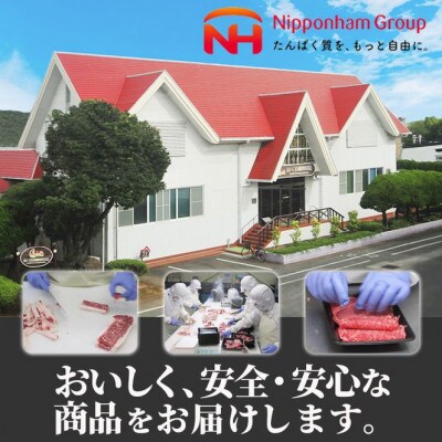 宮崎県産黒毛和牛切り落とし600g　