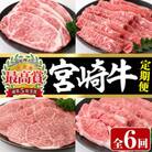 【毎月定期便】宮崎牛 全6回