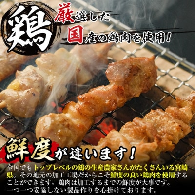 希少部位入り15種類串食べ比べセット