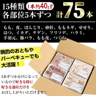 希少部位入り15種類串食べ比べセット