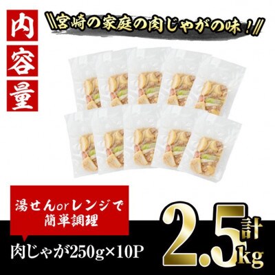 お母ちゃんの肉じゃが(2.5kg)