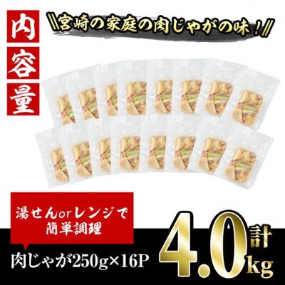お母ちゃんの肉じゃが(4kg)