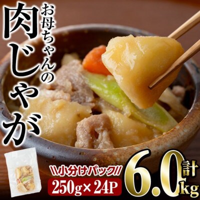 お母ちゃんの肉じゃが(6kg)