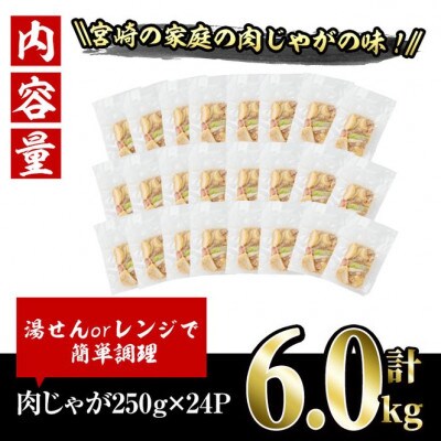 お母ちゃんの肉じゃが(6kg)