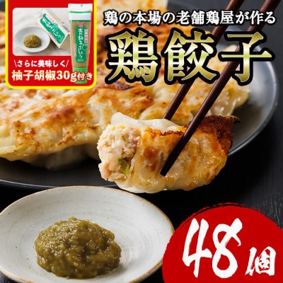 鶏の本場の老舗鶏屋が作る味鶏の餃子セット(12個×4P)