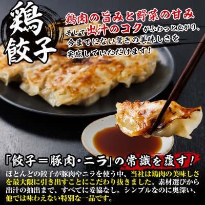 鶏の本場の老舗鶏屋が作る味鶏の餃子セット(12個×10P)