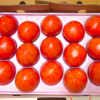 かどがわ　ひなたのとまと　1.1kg