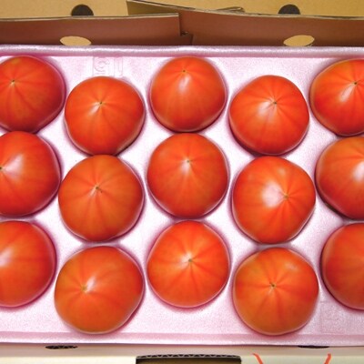 ひなたのとまと(1.1kg)とトマトジュース(1箱)のセット