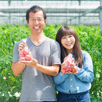 かどがわ　ひなたのとまと　3.3kg(1.1kg×3箱)