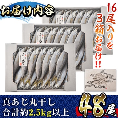 国産真あじ丸干し48尾セット(16尾×3箱・計2.5kg以上)