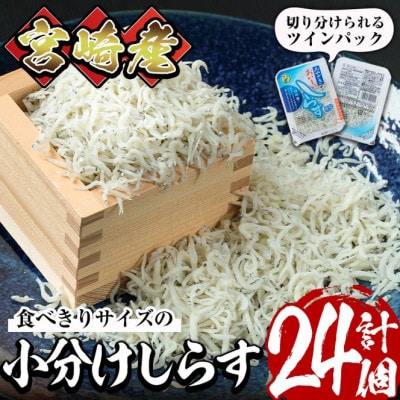小分けしらすツインパック12個セット(25g×2パック×12個・計約600g)