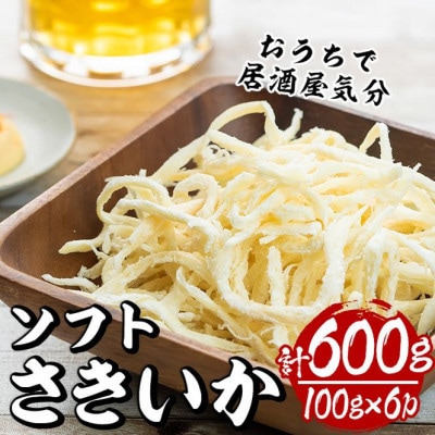 ソフトさきいか(100g×6パック・計約600g)