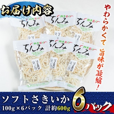 ソフトさきいか(100g×6パック・計約600g)