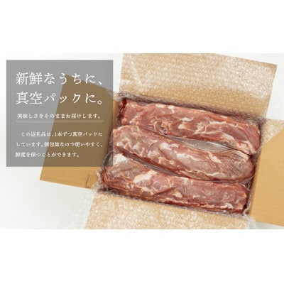 宮崎県産!豚ヒレブロック3本(計約1.2kg～1.5kg)(門川町)