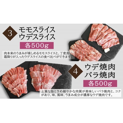 【毎月定期便】宮崎牛すき焼き・しゃぶしゃぶ&焼肉全6回