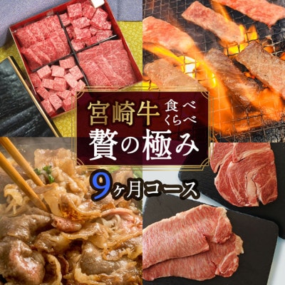 【毎月定期便】宮崎牛食べ比べ贅の極み全9回