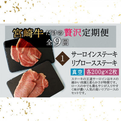 【毎月定期便】宮崎牛食べ比べ贅の極み全9回
