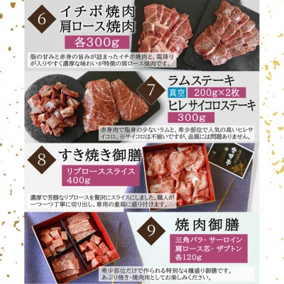 【毎月定期便】宮崎牛食べ比べ贅の極み全9回