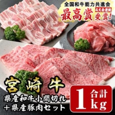 宮崎牛と県産豚肉セット(宮崎牛肩ロース焼肉/県産豚バラ焼肉/和牛小間切れ)合計:1kg(門川町)