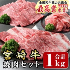 宮崎牛焼肉セット(合計:1kg)モモ焼肉・バラ焼肉・宮崎県産和牛小間切れ(門川町)