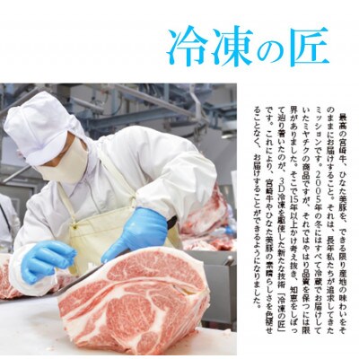 【宮崎牛・3D冷凍】6部位食べ比べスライス(合計600g)(門川町)