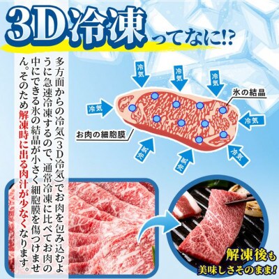 【宮崎牛・3D冷凍】6部位食べ比べスライス(合計600g)(門川町)