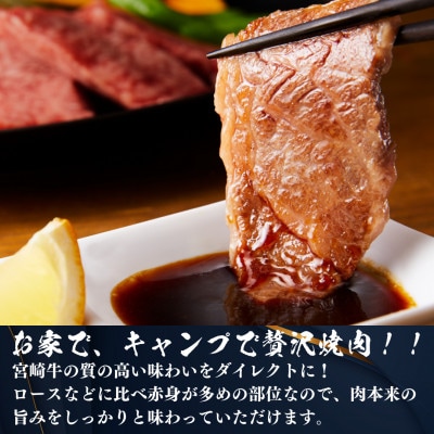 宮崎牛焼肉セット(合計800g)ウデ(400g)モモ(400g)(門川町)
