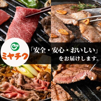 宮崎牛4種食べ比べスライス(1.2kg)(門川町)