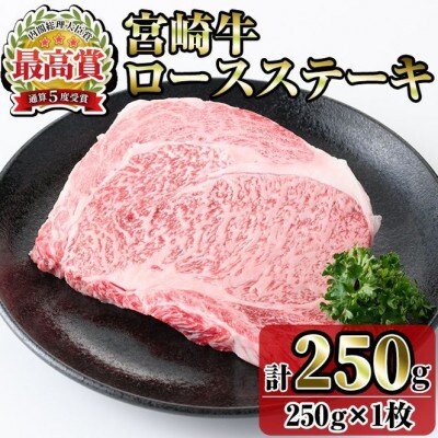 宮崎牛ロースステーキ(250g)(門川町)