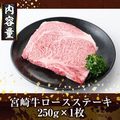 宮崎牛ロースステーキ(250g)(門川町)