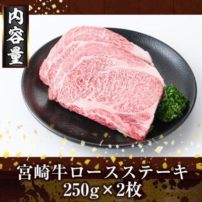 宮崎牛ロースステーキ(500g)(門川町)