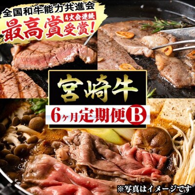 【毎月定期便】宮崎牛6ヶ月定期便(Bセット)(門川町)全6回