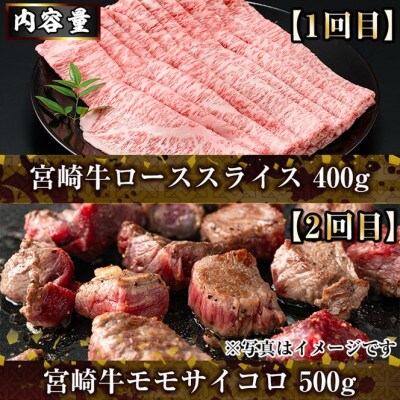 【毎月定期便】宮崎牛(Fセット)(門川町)全6回