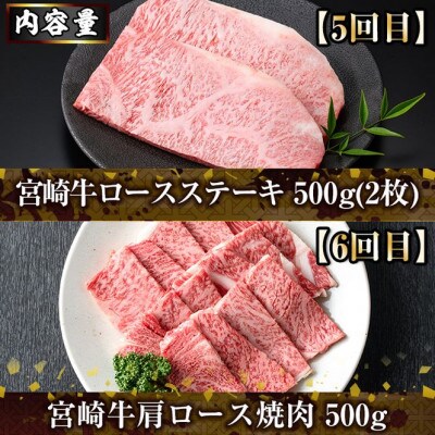 【毎月定期便】宮崎牛(Fセット)(門川町)全6回