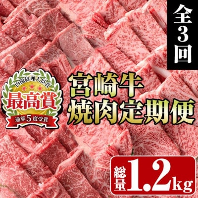 【毎月定期便】宮崎牛焼肉(門川町)全3回