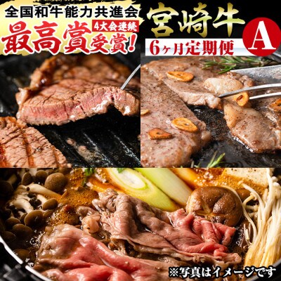 【毎月定期便】宮崎牛6ヶ月定期便(Aセット)(門川町)全6回