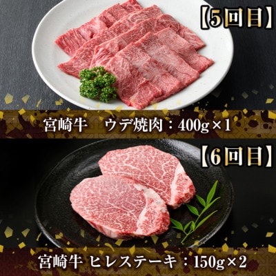 【毎月定期便】宮崎牛6ヶ月定期便(Bセット)(門川町)全6回