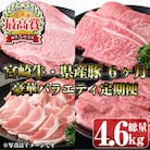 【毎月定期便】宮崎牛と県産豚豪華バラエティ(門川町)全6回