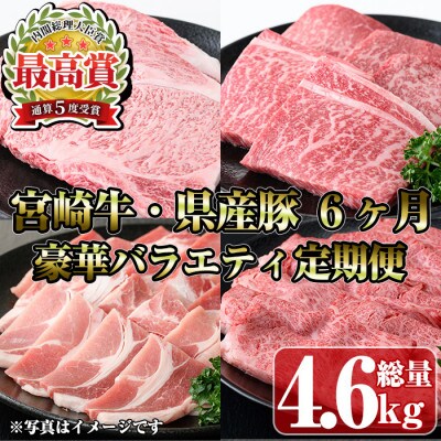 【毎月定期便】宮崎牛と県産豚豪華バラエティ(門川町)全6回