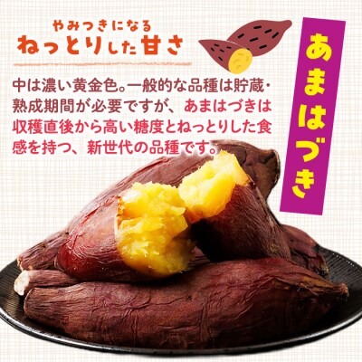 冷凍焼き芋(あまはづき)(計2kg・500g×4袋)