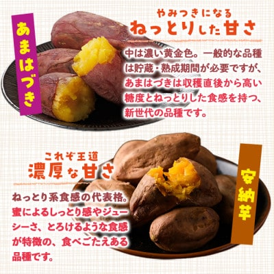 冷凍 焼き芋 食べ比べ セット(あまはづき・安納芋) 計2kg 500g×各2袋