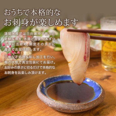 活〆ヒラメのお刺身(1尾分:約400g)(門川町)