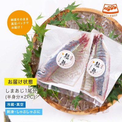 活〆しまあじのお刺身(1尾分:約500～600g)(門川町)