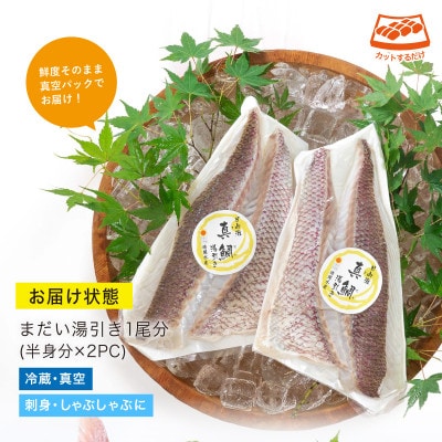 活〆真鯛湯引きのお刺身(1尾分:約500～600g)(門川町)
