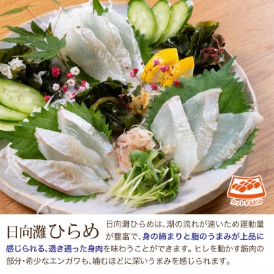 ヒラメとしまあじのお刺身セット(門川町)